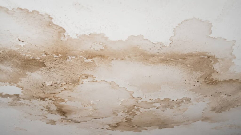 Water-damaged ceiling with peeling paint and brown stains.