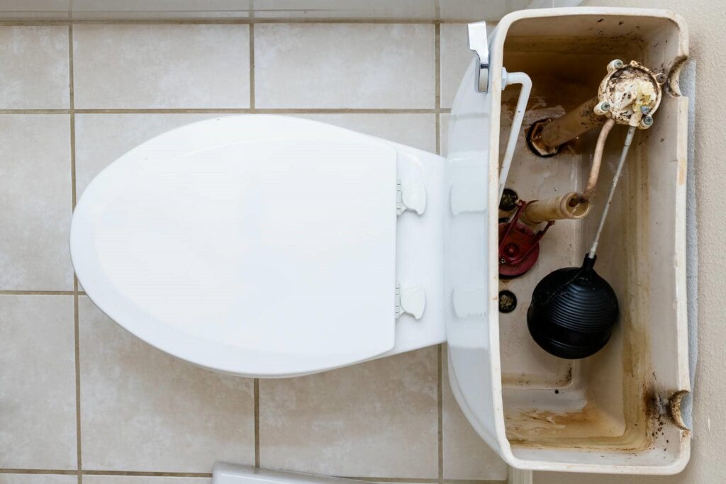 Top view of a toilet with the tank lid removed, showing the internal flushing mechanism and float ball.