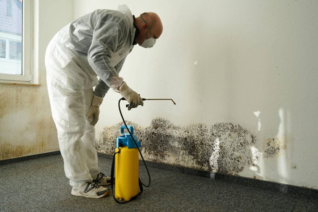 How to Remediate Mold After Water Damage