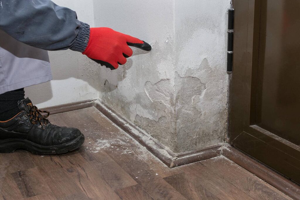 3 Best DIY Mold Prevention Tips for Water-Damaged Homes