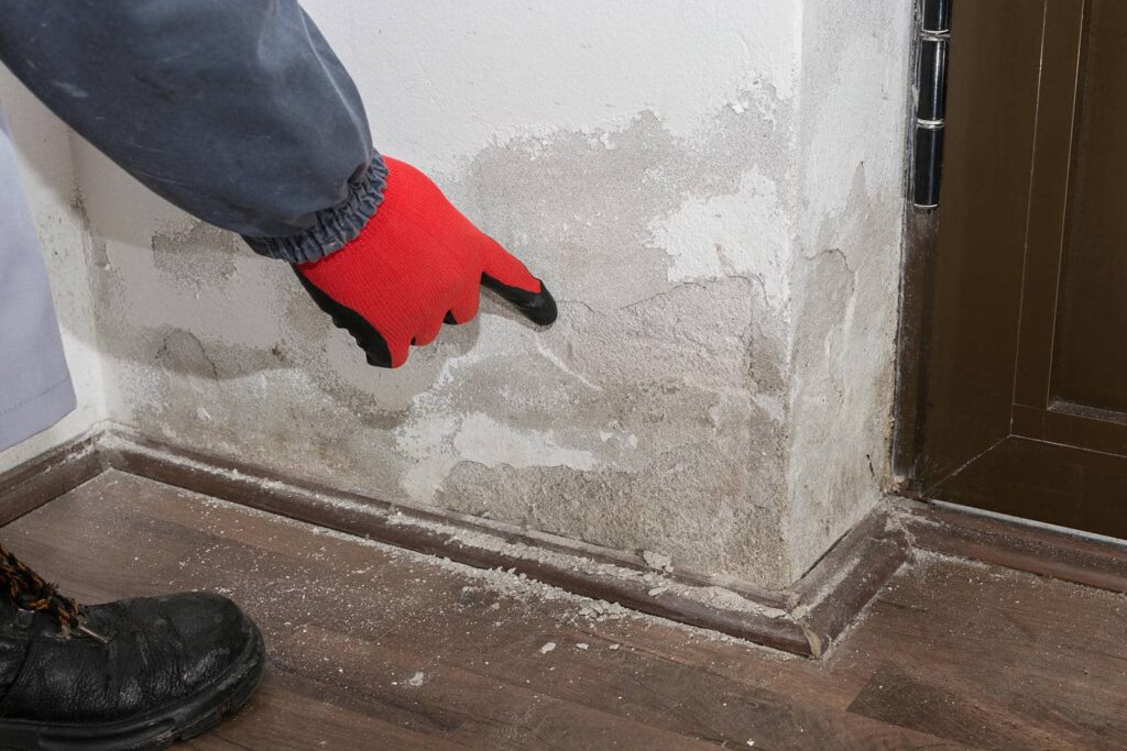 Smart Tips for Preventing Mold in Water-Damaged Homes