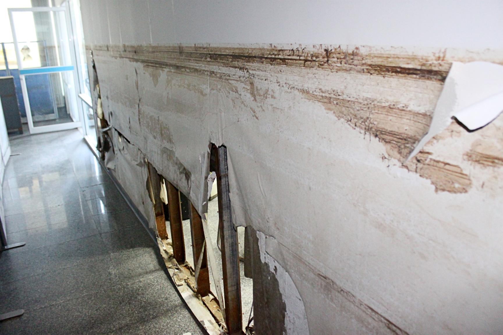 Mold Remediation After Flooding: What Homeowners Must Know