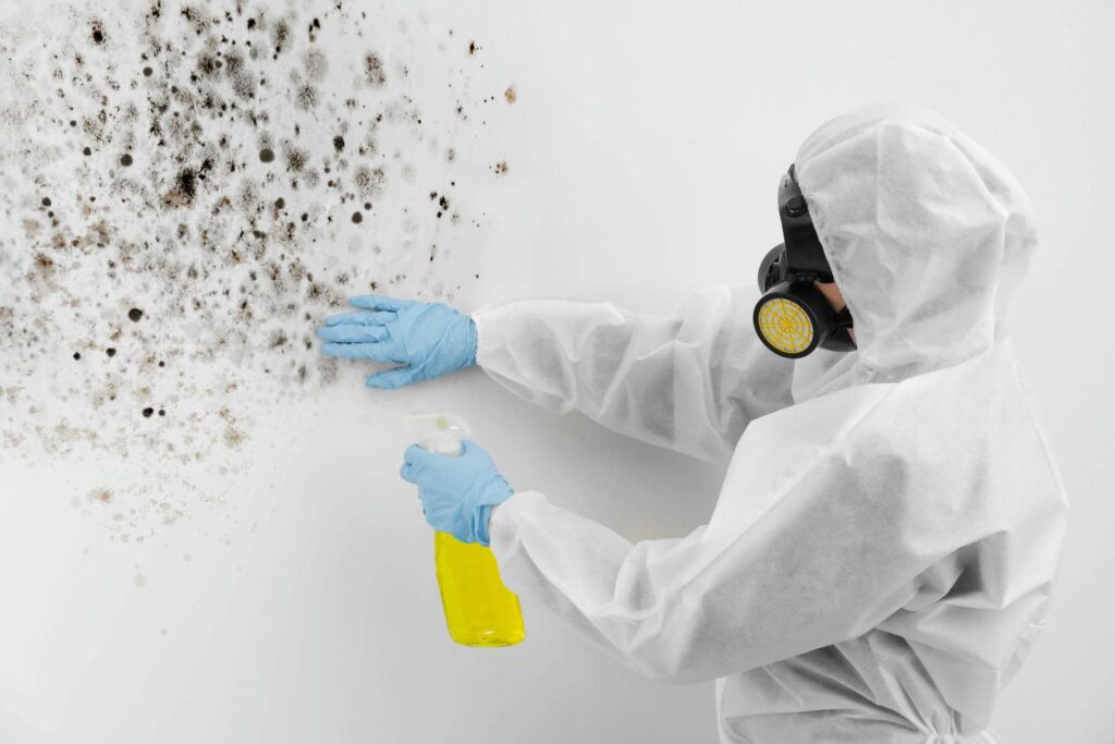 Top Steps for Emergency Mold Remediation