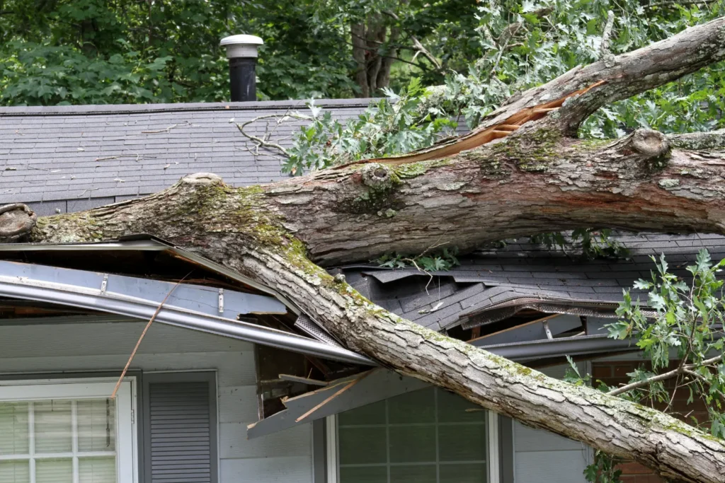 Caldwell, NJ Storm Damage