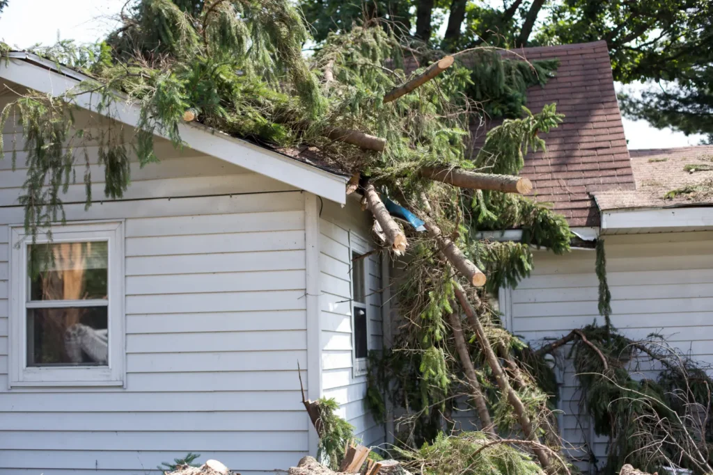Essex Fells, NJ Storm Damage
