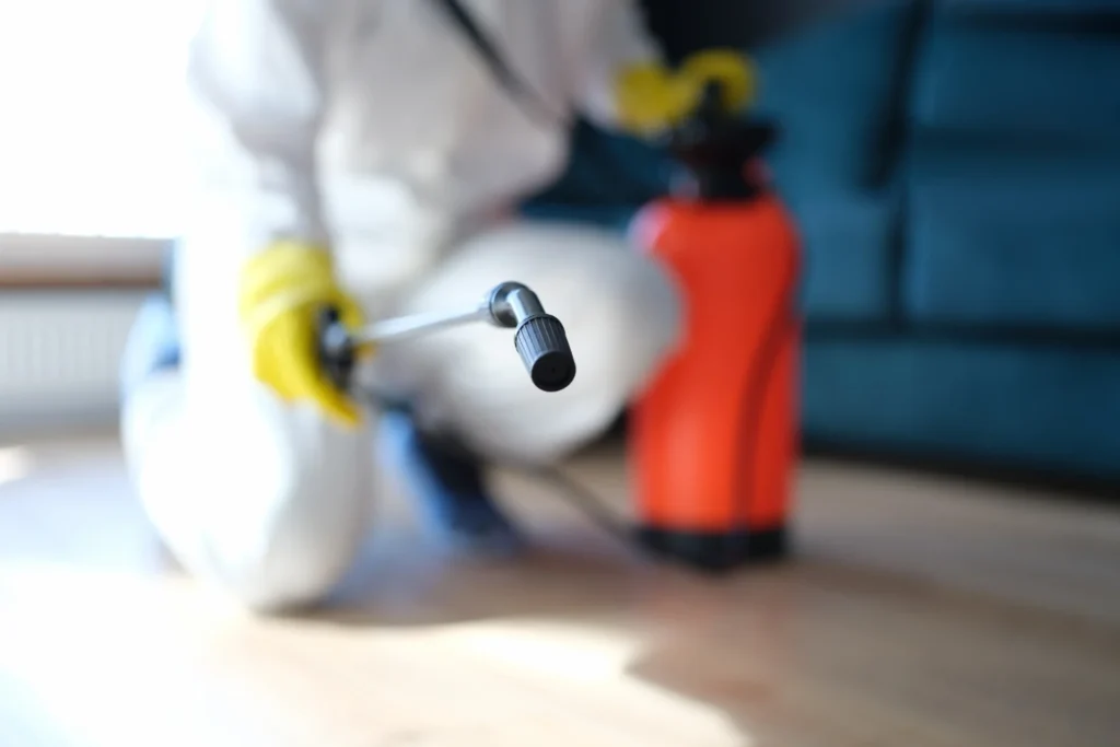 Mold Remediation Experts