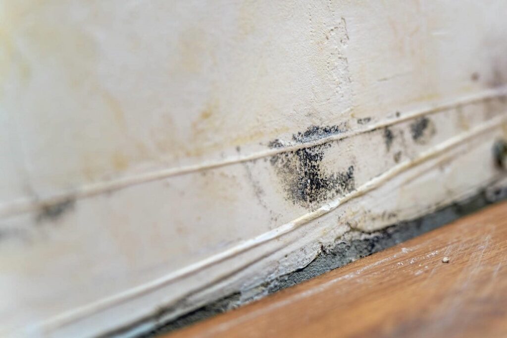 Close-up of mold and water damage on a white wall near a wooden floor.