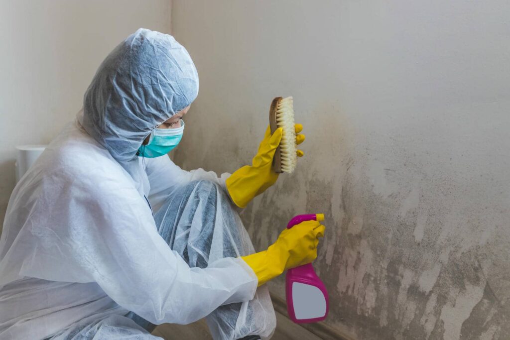 Top 5 Mold Remediation Techniques After Flooding