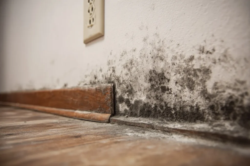 Verona, NJ Water Damage Restoration