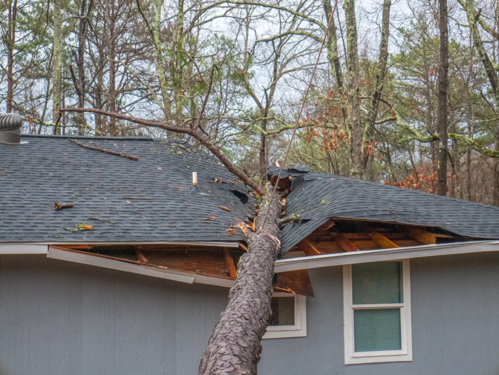West Orange, NJ Storm_Damage