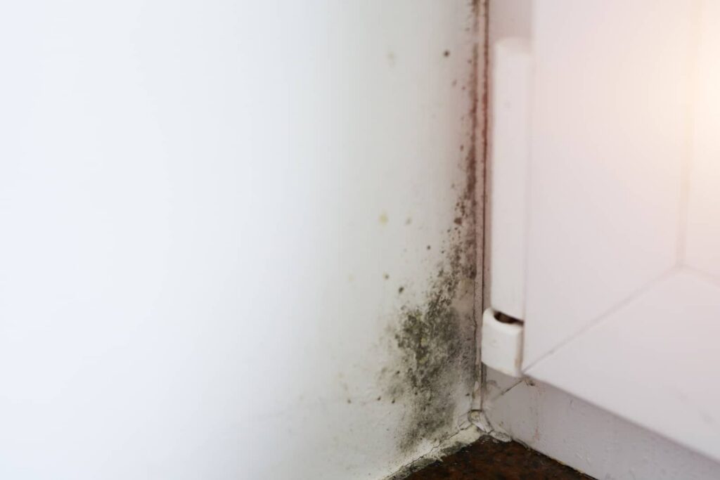 Mold growing on a wall corner beside a cabinet.